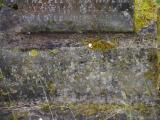 image of grave number 919719